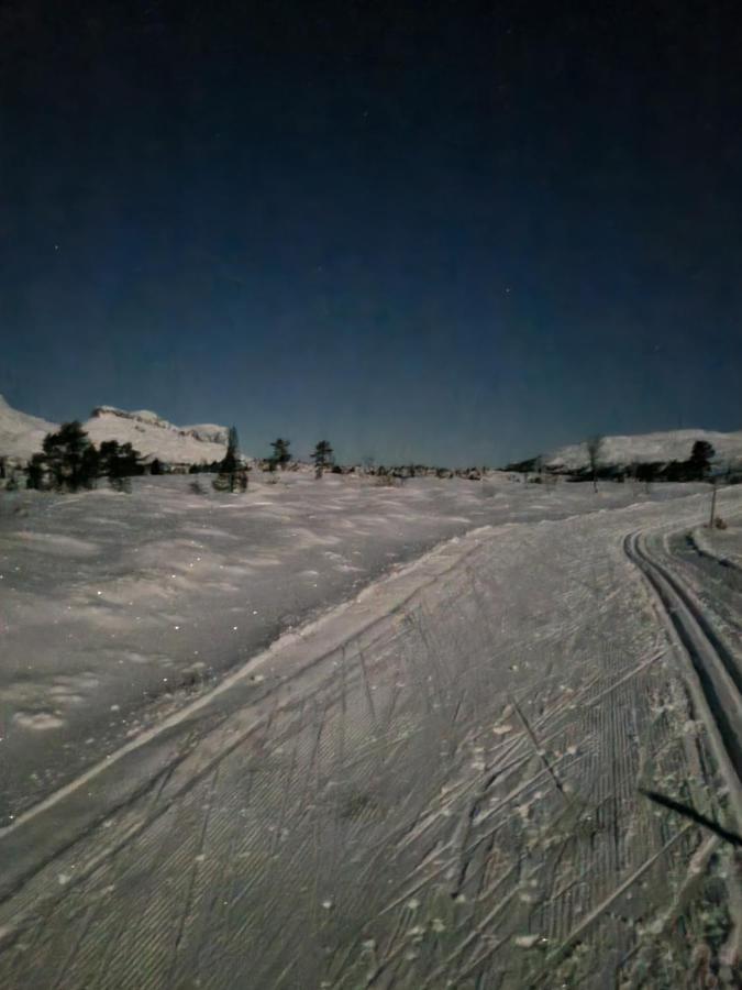Stor Leilighet Med 4 Senger Sentralt I Forde エクステリア 写真